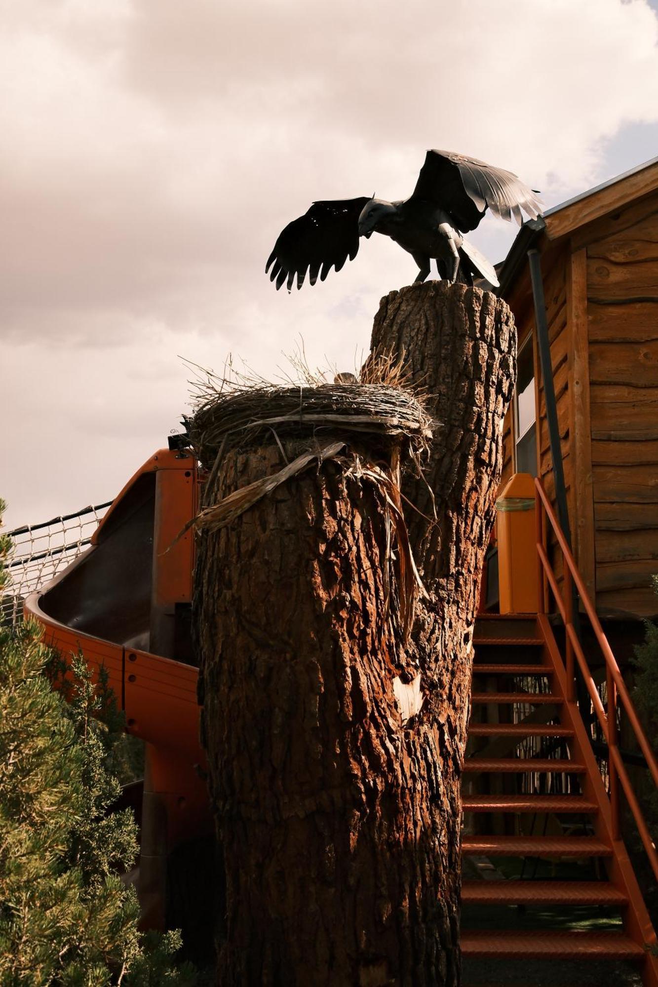 Villa Crows Nest Treehouse At El Mstico Ranch Nogal Esterno foto