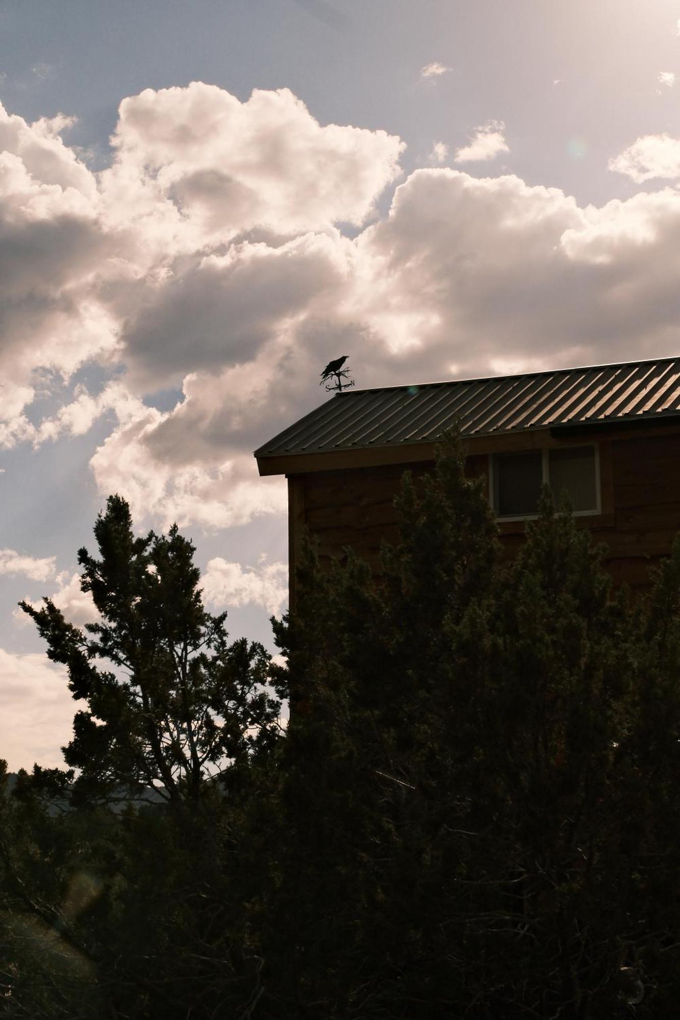 Villa Crows Nest Treehouse At El Mstico Ranch Nogal Esterno foto