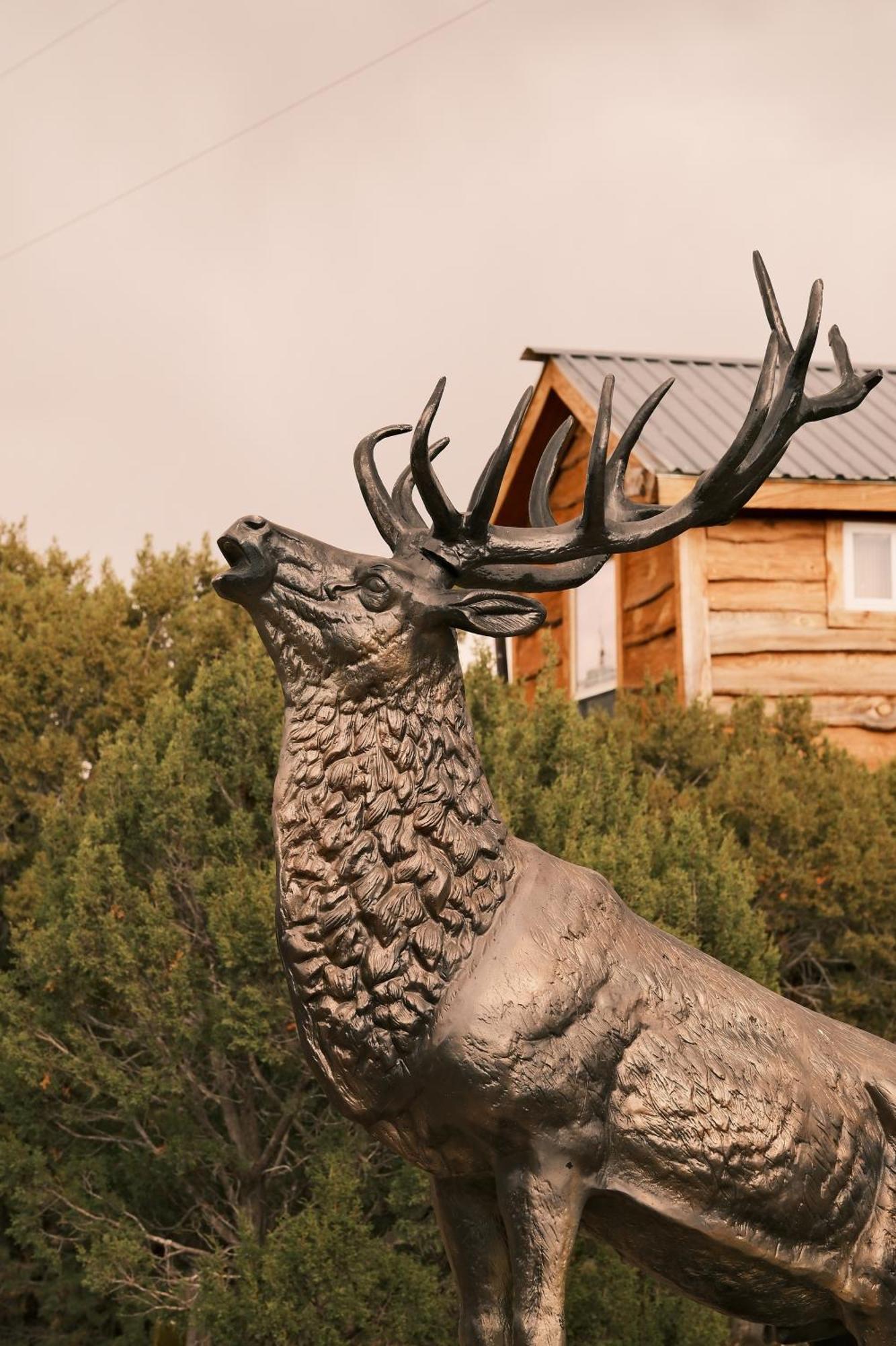 Villa Crows Nest Treehouse At El Mstico Ranch Nogal Esterno foto